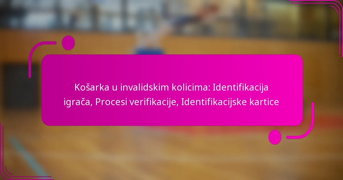 Košarka u invalidskim kolicima: Identifikacija igrača, Procesi verifikacije, Identifikacijske kartice