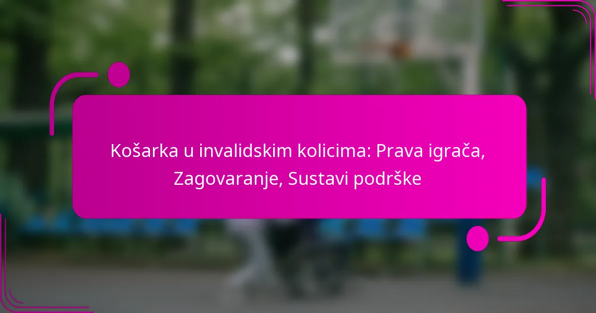 Košarka u invalidskim kolicima: Prava igrača, Zagovaranje, Sustavi podrške