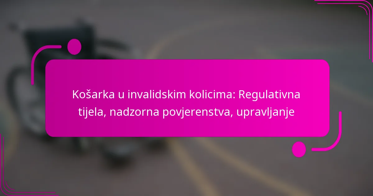 Košarka u invalidskim kolicima: Regulativna tijela, nadzorna povjerenstva, upravljanje