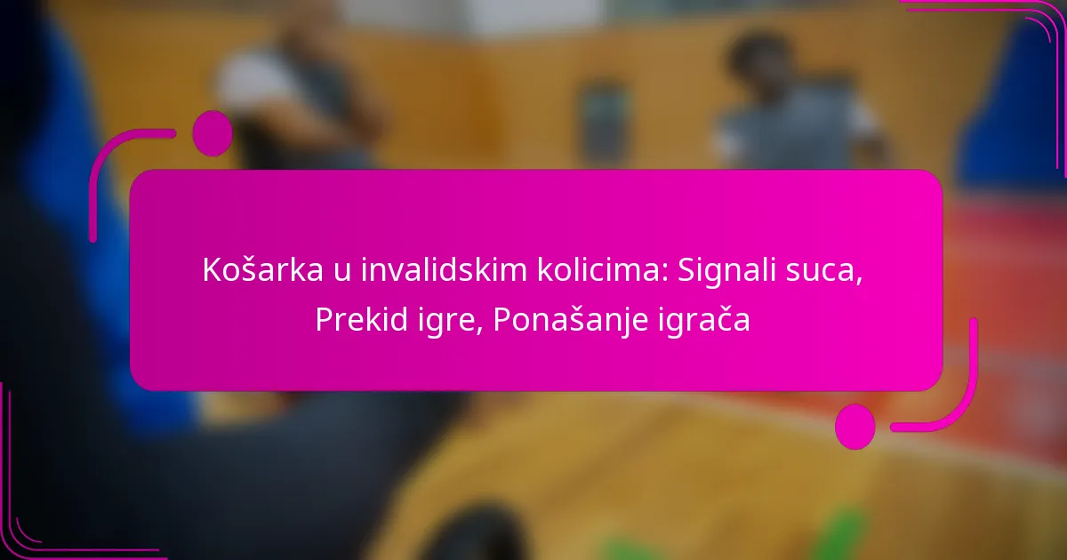Košarka u invalidskim kolicima: Signali suca, Prekid igre, Ponašanje igrača