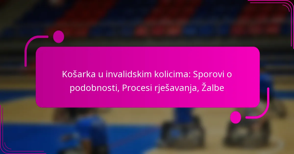 Košarka u invalidskim kolicima: Sporovi o podobnosti, Procesi rješavanja, Žalbe