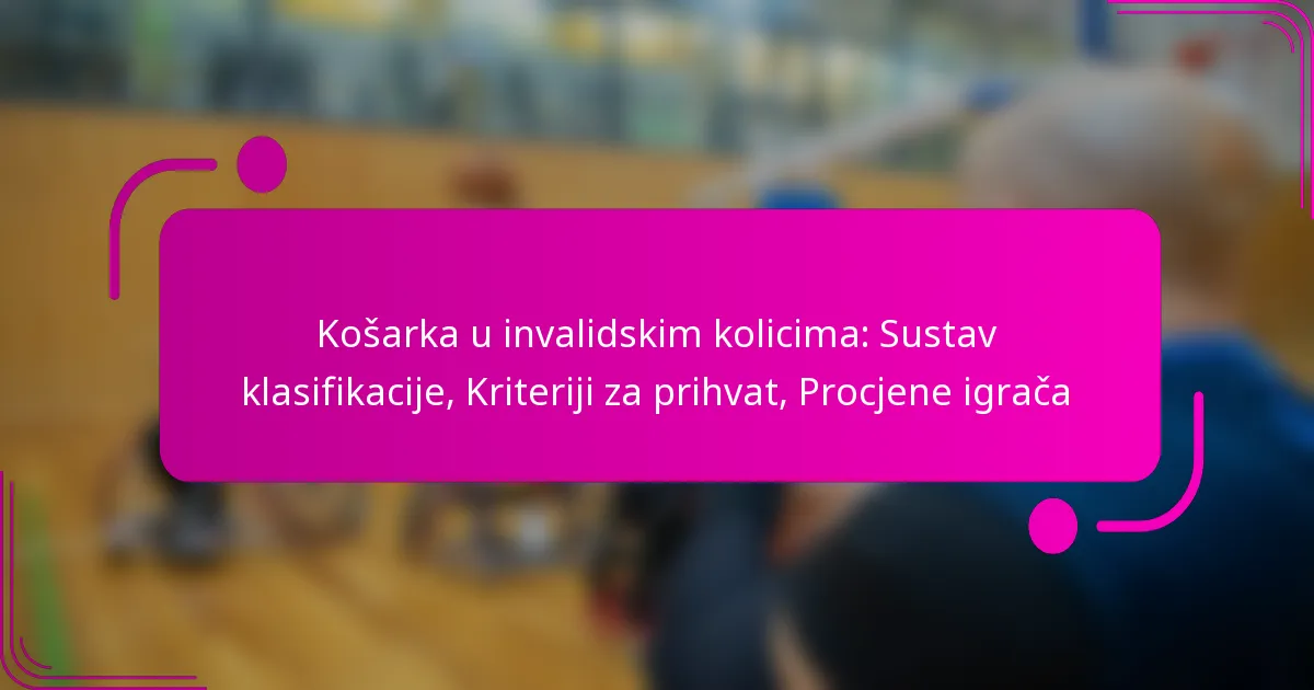 Košarka u invalidskim kolicima: Sustav klasifikacije, Kriteriji za prihvat, Procjene igrača