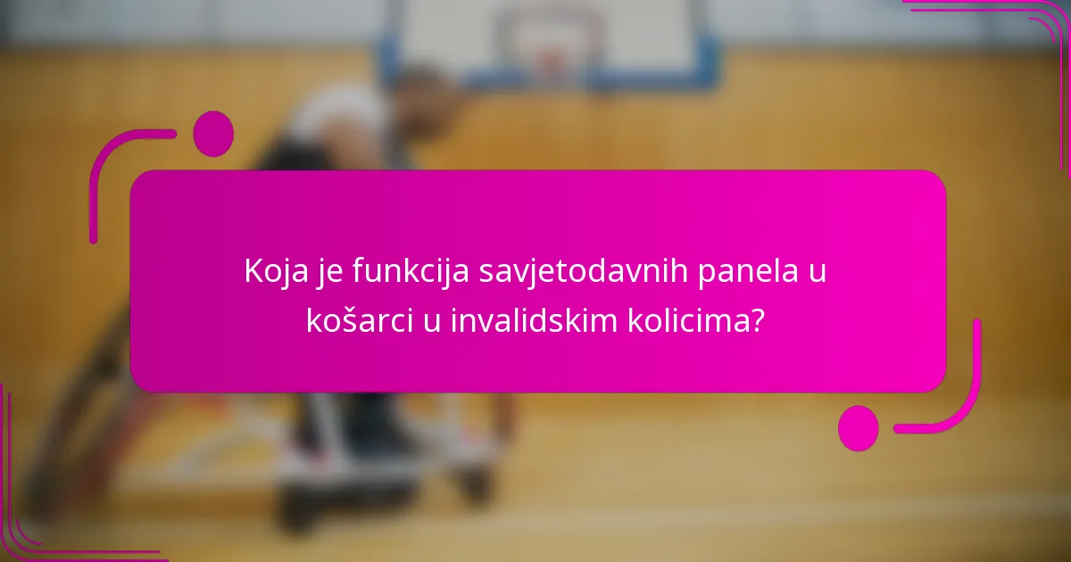 Koja je funkcija savjetodavnih panela u košarci u invalidskim kolicima?