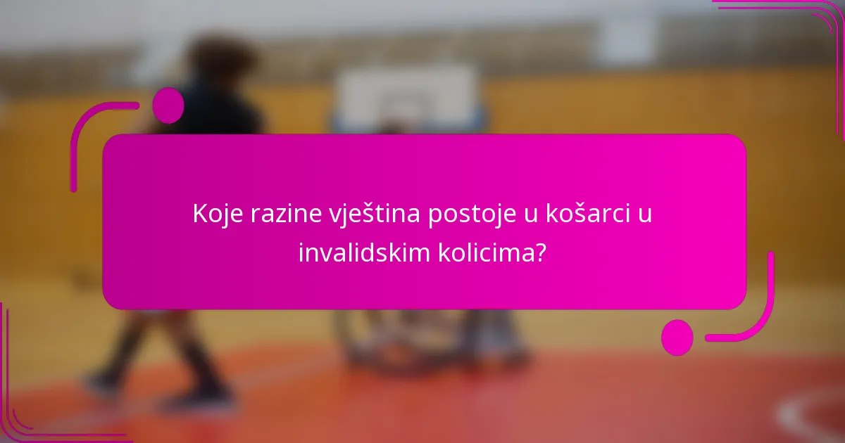 Koje razine vještina postoje u košarci u invalidskim kolicima?